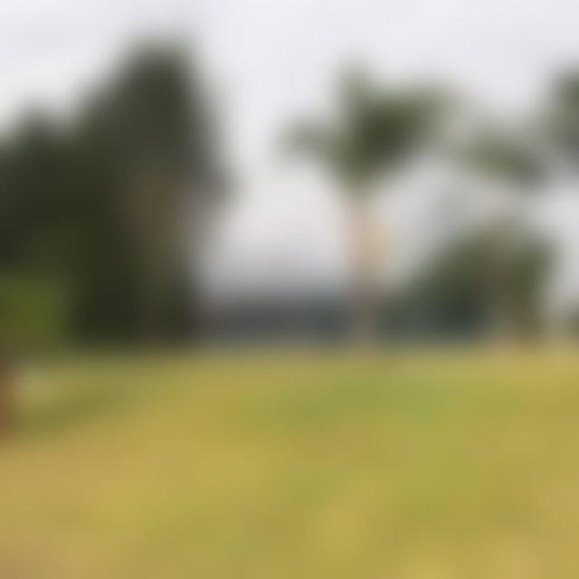 أرض واسعة للاستثمار في قلب بوسكورة — 4