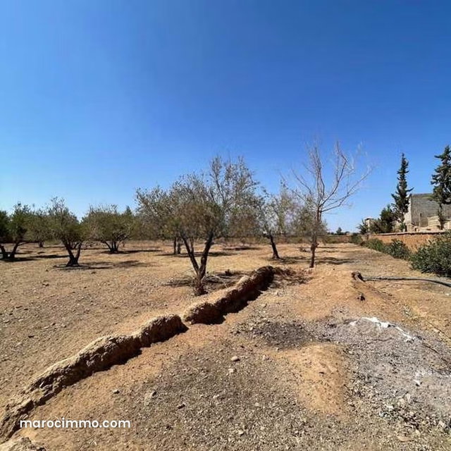 Terrain à Vendre de 5081.0 m² à Marrakech, Route D’Ourika Sidi Bouzguia — 3