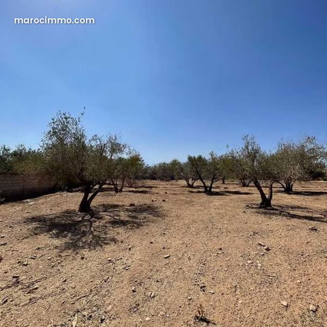 Terrain à Vendre de 5081.0 m² à Marrakech, Route D’Ourika Sidi Bouzguia — مراكش