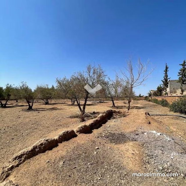 Terrain à Vendre de 5081.0 m² à Marrakech, Route D’Ourika Sidi Bouzguia — 4