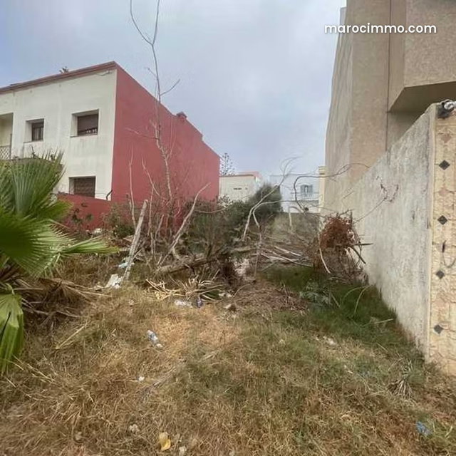 Terrain à Vendre de 268.0 m² à Dar Bouazza, Tamaris2 — 3