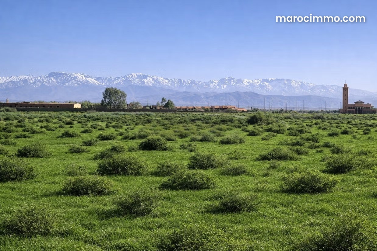 Titled 15,600 m² Plot in Tameslouht on the Amezmiz Road, Marrakech — Marrakesh