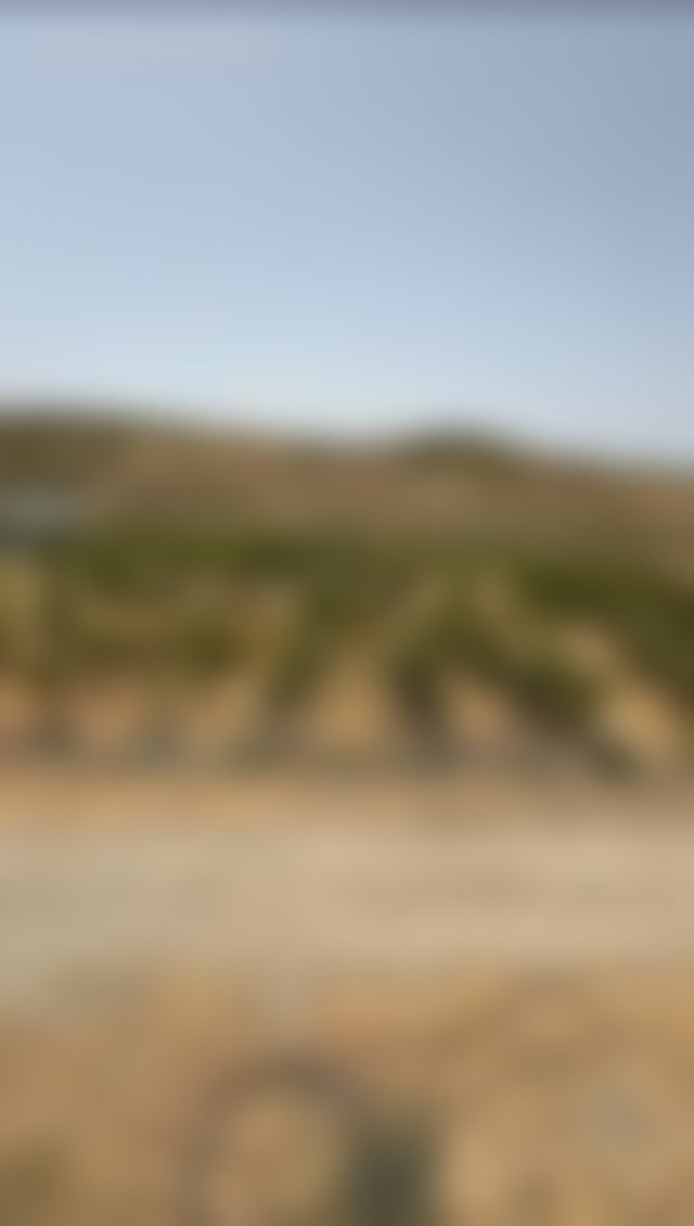 مزرعة خصبة للبيع بمغوغة في طنجة — 3