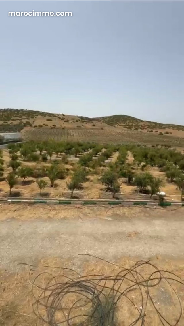 Opportunité d'investissement : Terrain agricole à vendre — 3
