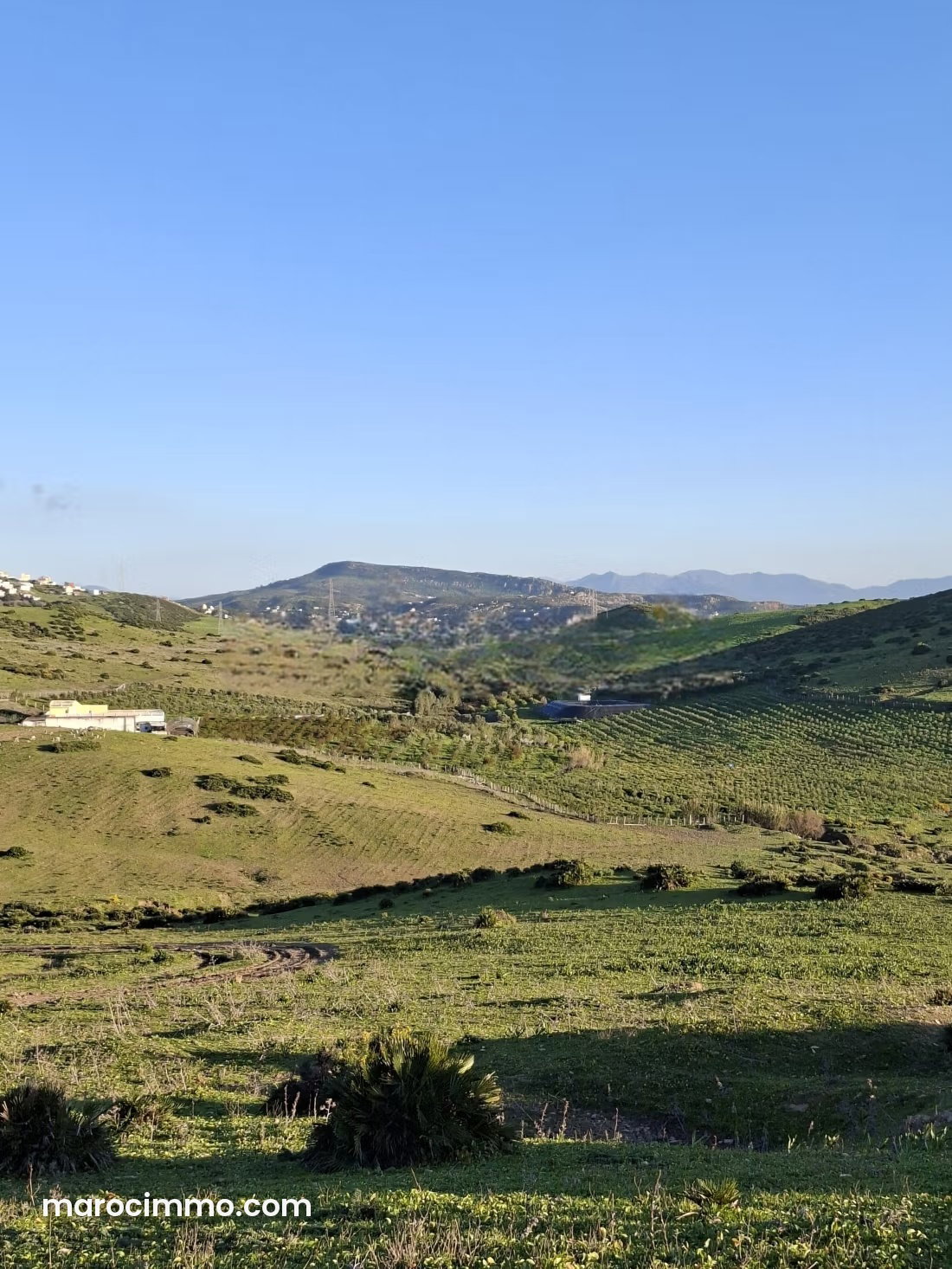 مزرعة خصبة للبيع بمغوغة في طنجة — طنجة