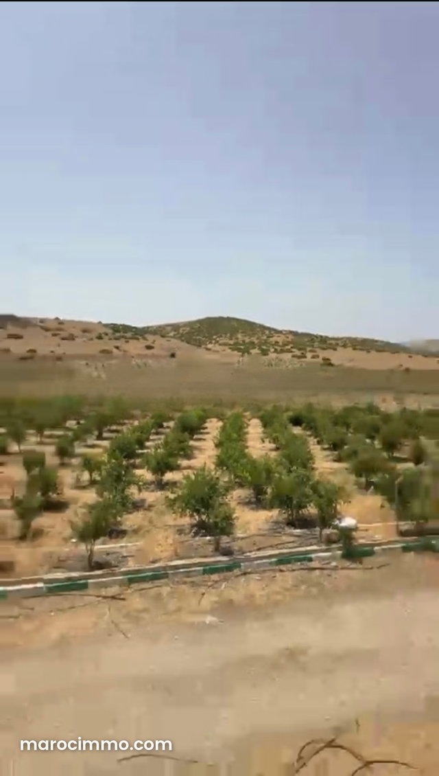 Opportunité d'investissement : Terrain agricole à vendre — 4