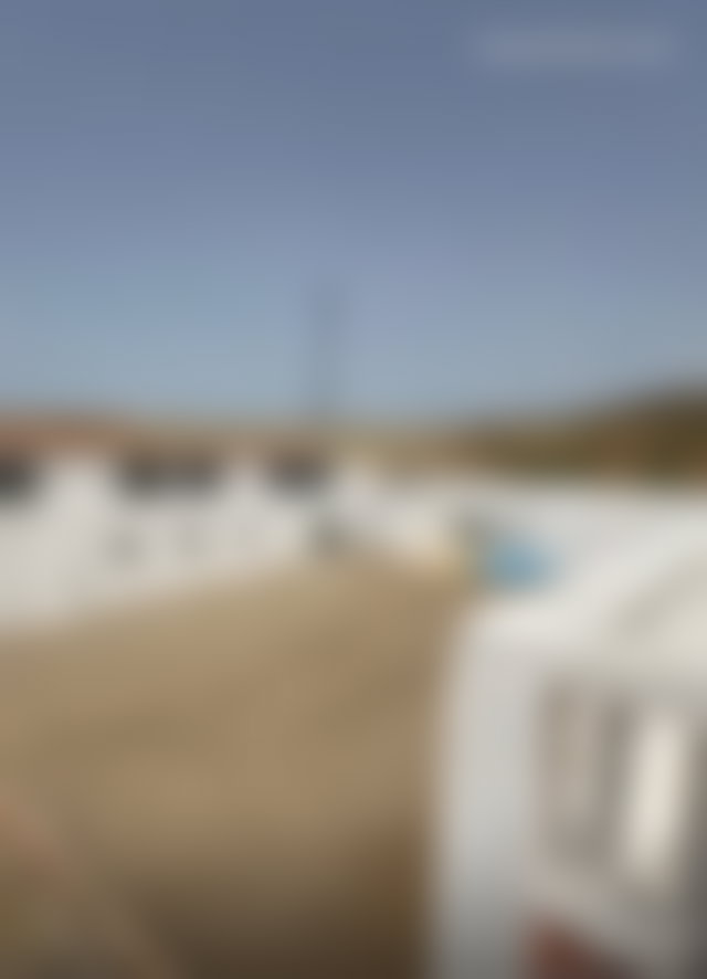 مزرعة خصبة للبيع بمغوغة في طنجة — 5