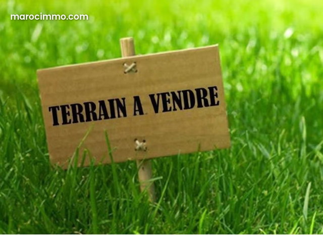 Dar Bouazza – Vente terrain Lots Nawras 364 m² — 2