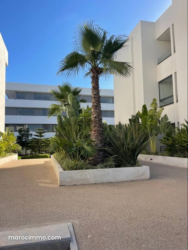 Très bel appartement collé à Leon africain — 3