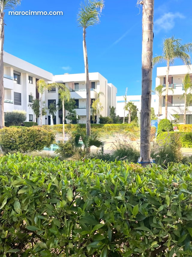 Très bel appartement collé à Leon africain — 5