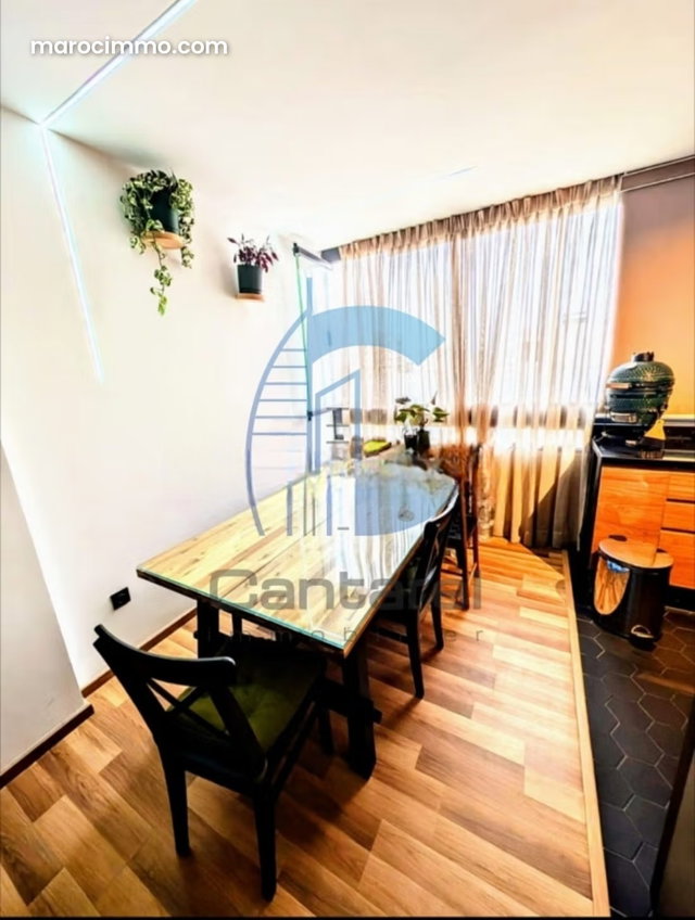 Location appartement palmier — 4