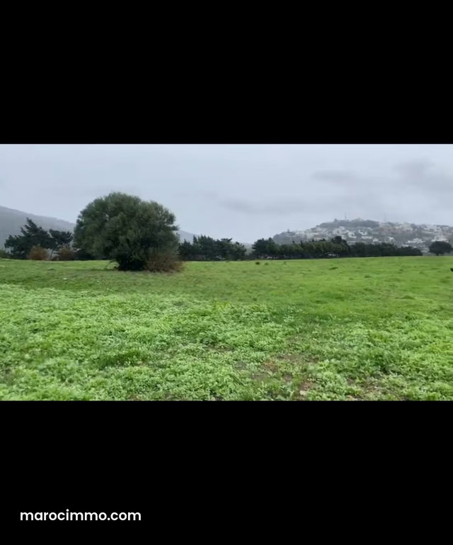 Terrain a vendre, medieuna — 3
