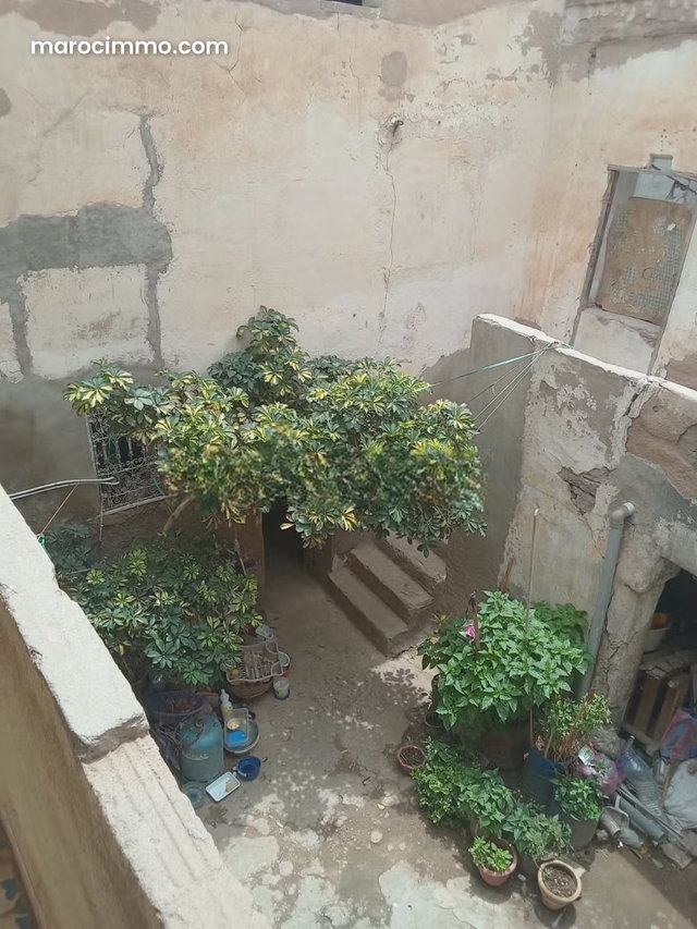 ️️️Riad titré à rénover – excellente opportunité à bab doukkala️️️ — 3