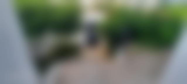فيلا مفروشة بحديقة فسيحة للكراء في معاريف إكستنشن بالدار البيضاء — الدار البيضاء