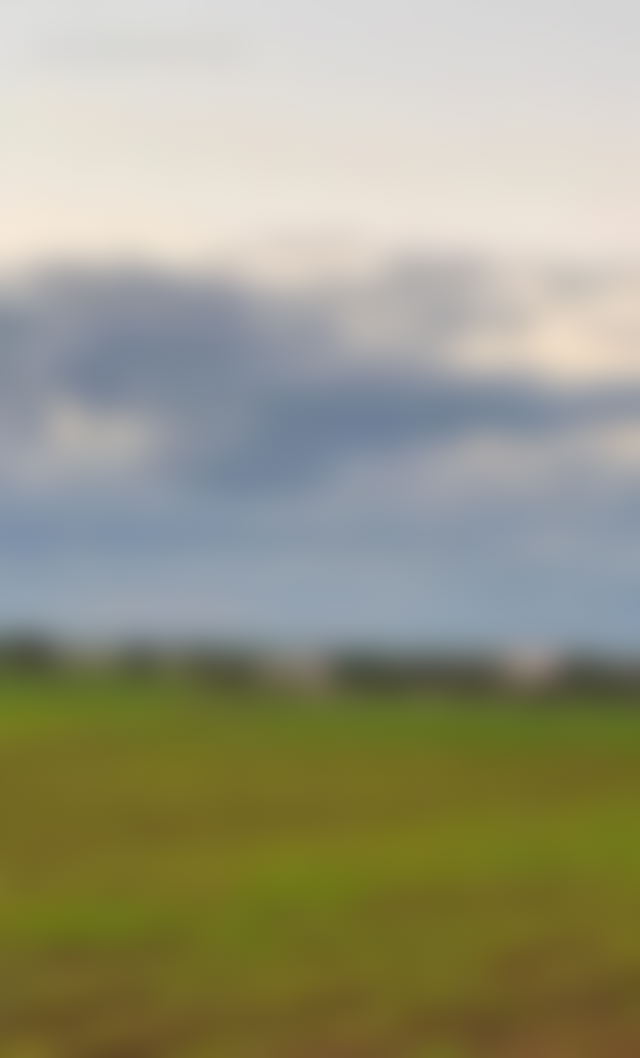 Terrain avec vue sur mer à Dar Bouazza, sur les collines — Dar Bouazza