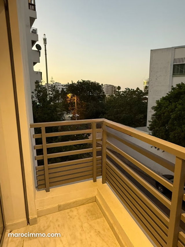 Studio à louer à Palmier Balcon et parking — 3