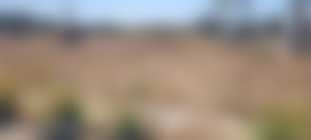 أرض تجارية مميزة للبيع بالمدينة الخضراء بوسكورة — 2