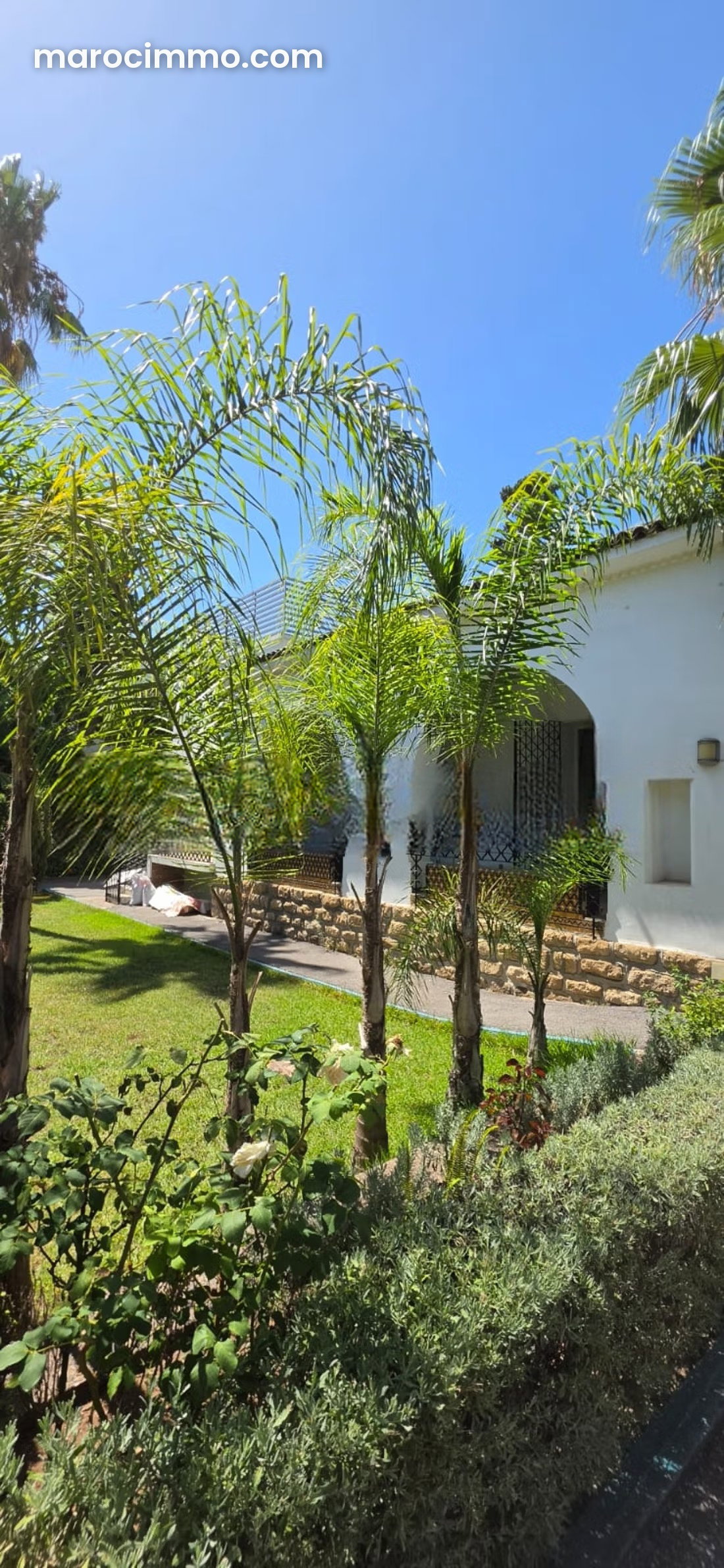 Bureaux à louer dans le quartier Hassan à Rabat, 1000 m² — Rabat