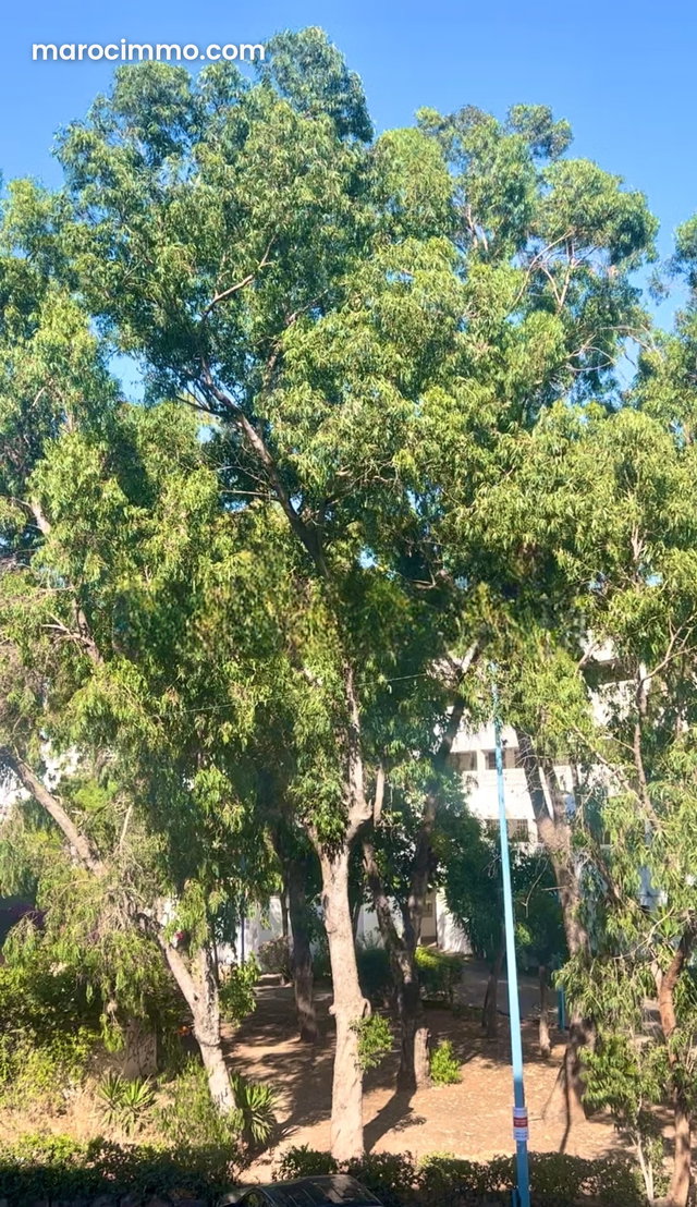 Oasis – Beautiful Studio with Garden View — 2