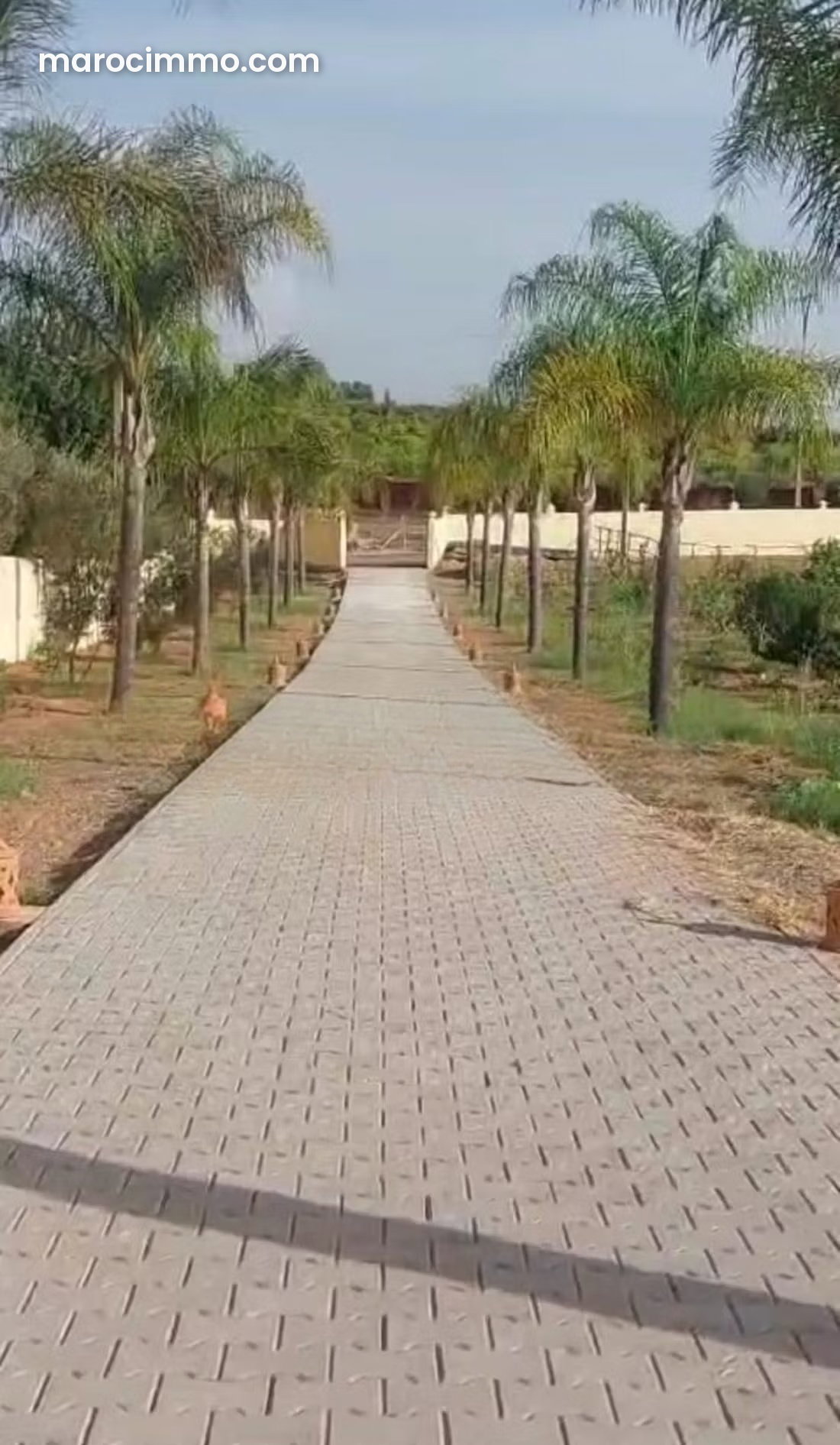 ضيعة هادئة بهكتارٍ كامل للبيع في سيدي علال البحراوي — سيدي علال البحراوي