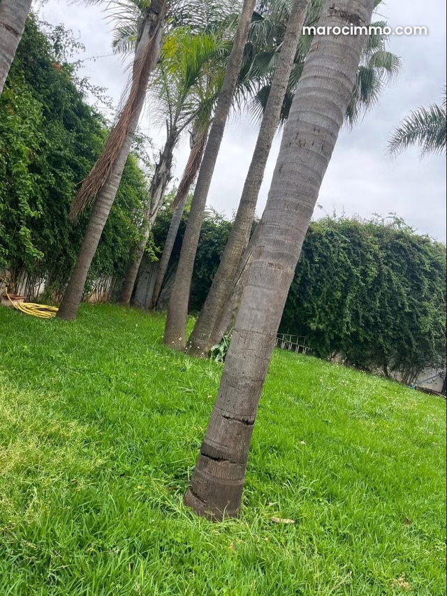 À louer – Superbe villa à Anfa, avec piscine et à 5 minutes à pied de la Corniche de Casablanca 5 chambres — 5