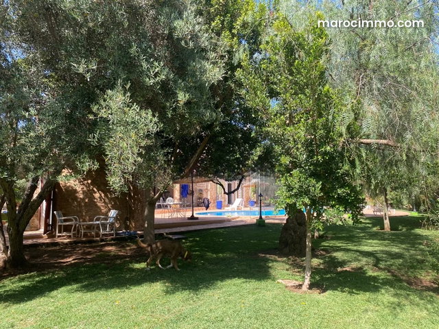 Villa avec piscine, idéale pour une maison d'hôtes — 4
