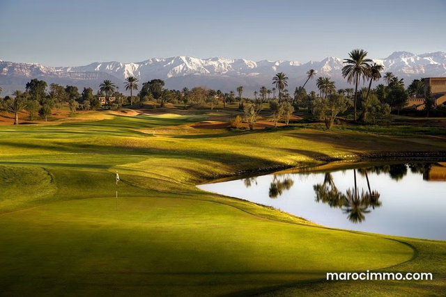 Terrain front golf amelkis — 2