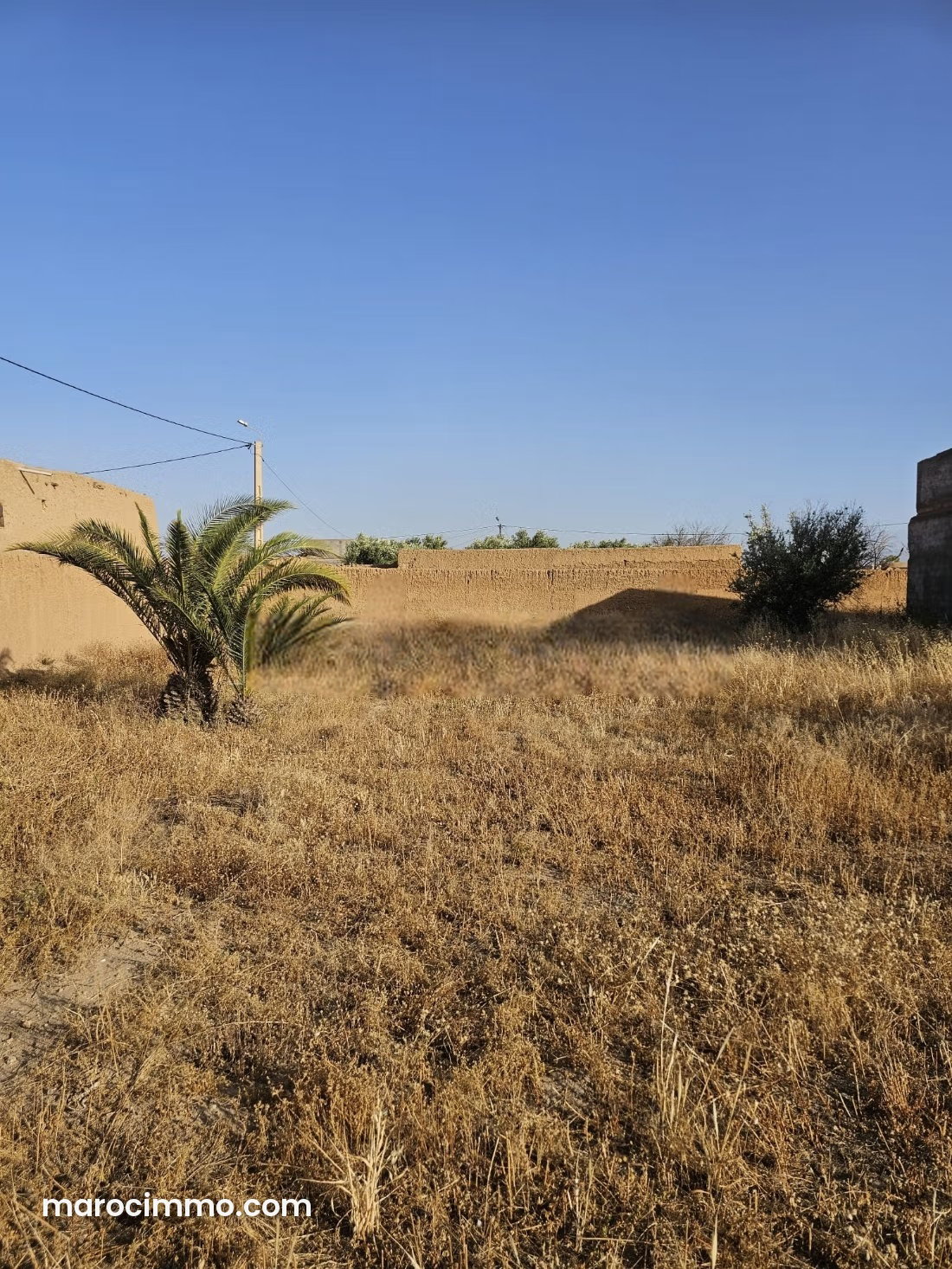فيلا بحاجة إلى تجديد على أرض 5530 m² للبيع بآسا — آسا