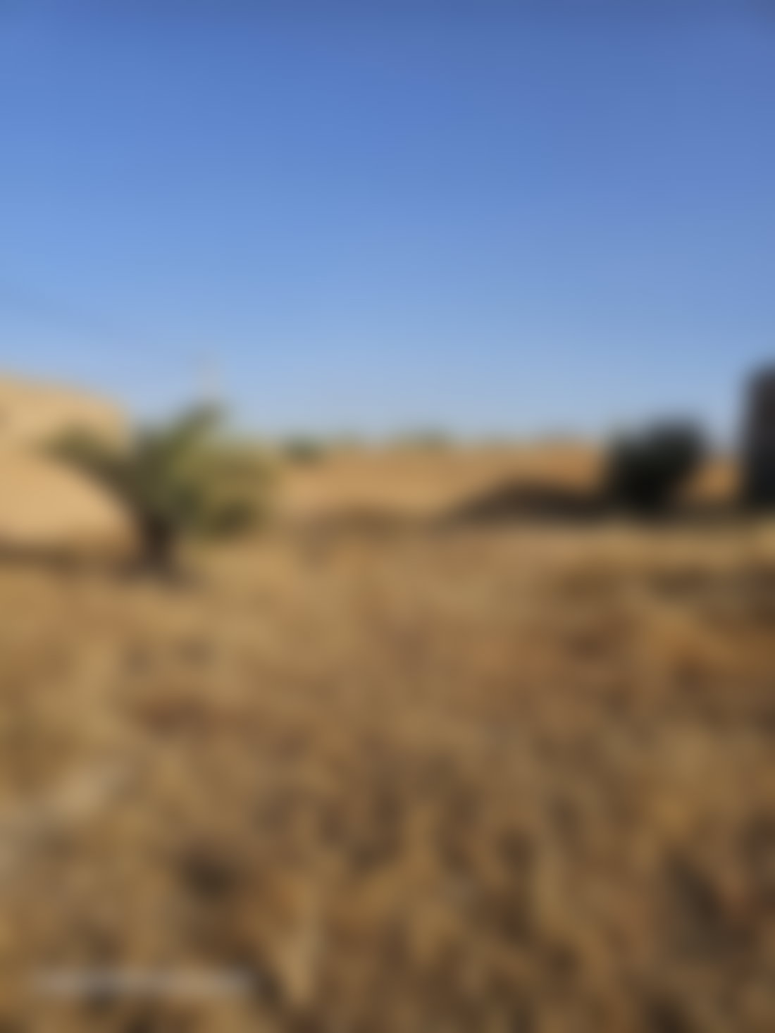 فيلا بحاجة إلى تجديد على أرض 5530 m² للبيع بآسا