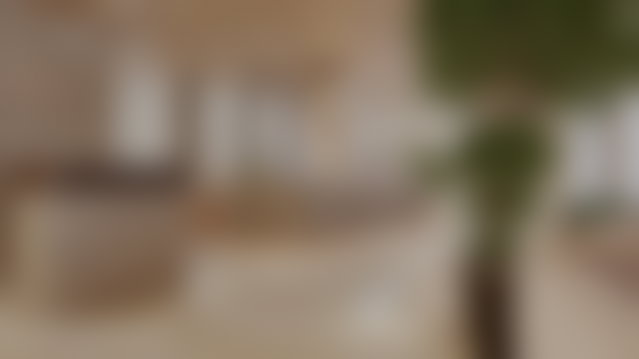 فرصة استثمارية نادرة في قلب بالميير الدار البيضاء — 2