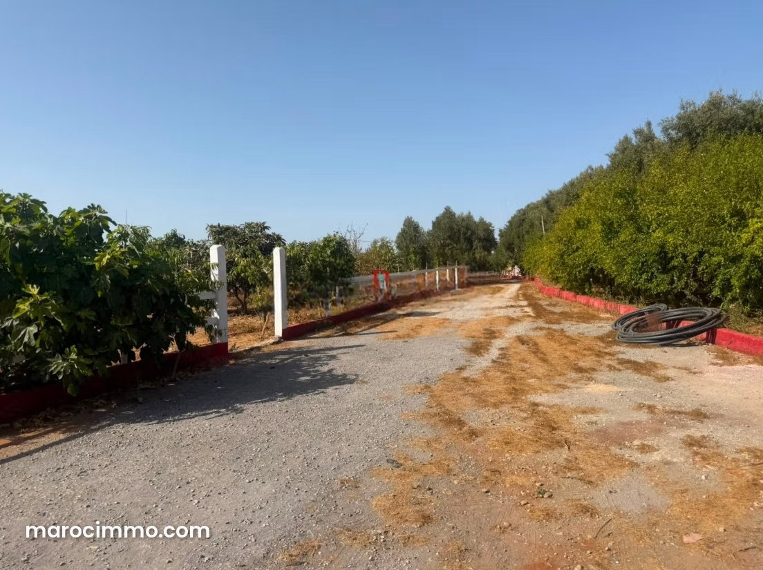 2-Hectare Farm for Sale in Technopolis, Salé — Salé