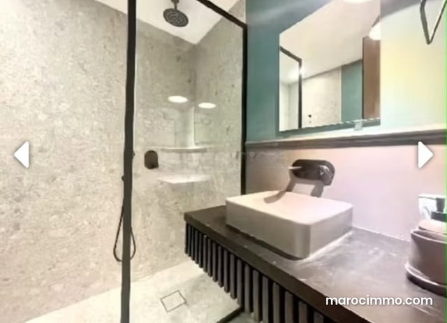 Furnished Apartment with Terrace for Rent in Gauthier — 3