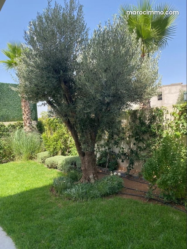 Villa Contemporaine de Prestige – Amelkis 3 — 3
