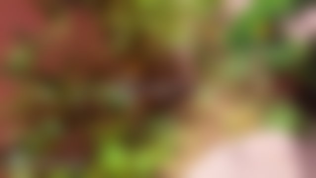 فيلا مشرقة للبيع على طريق مكناس بفاس — 2