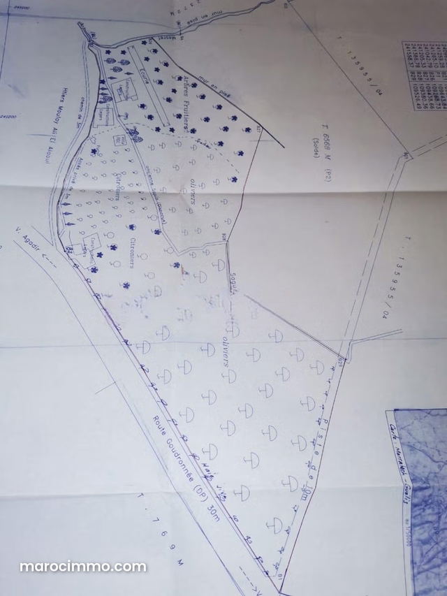 Ferme d’exception 28,99 ha – Route Assoufid — Marrakech