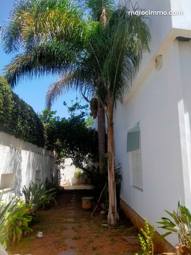 Villa avec dépendances et rooftop, quartier Oasis — 2