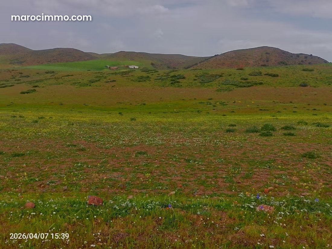 Terrain de 20 000 m² à Aïn Chock, Casablanca, à vendre — Casablanca
