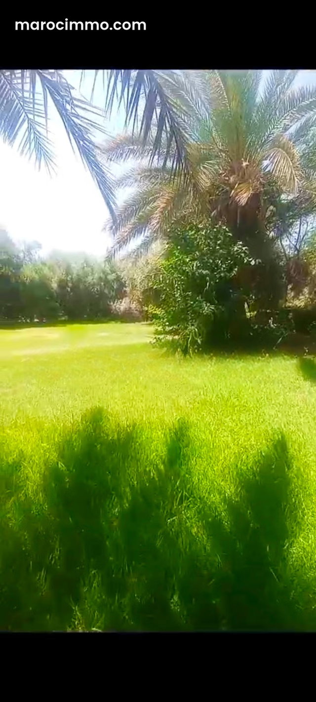 2 chambres à vendre à la palmeraie — 2
