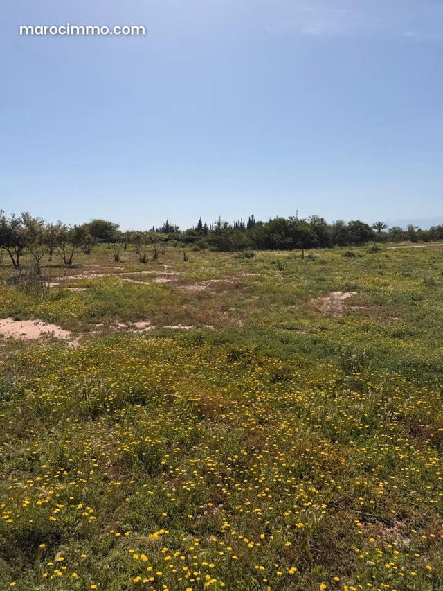 Terrain titré 4 ha – Route d’Amizmiz – Vue Atlas — مراكش