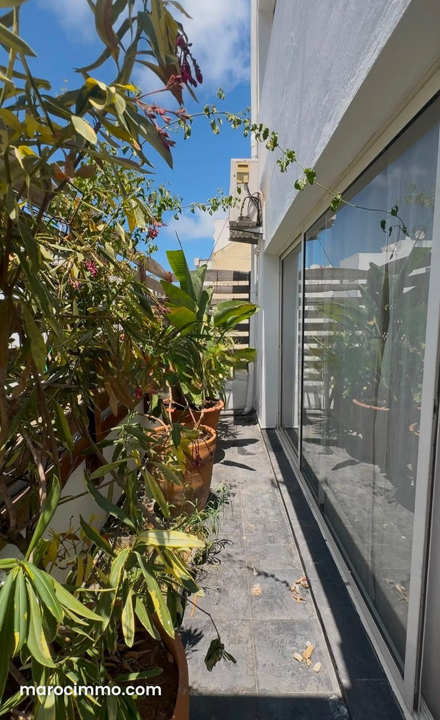 À louer – Magnifique duplex de 400 m² – Racine — 4