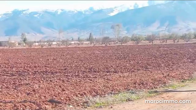 Terrain 3Hectars Agricole à Vendre Rte Barage Marrakech — Marrakech