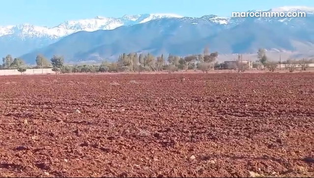 3-Hectare Agricultural Land for Sale on Marrakech Dam Road — 5