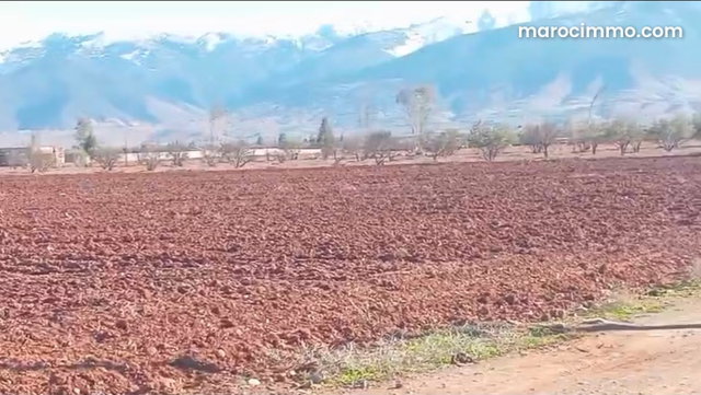 3-Hectare Agricultural Land for Sale on Marrakech Dam Road — 2