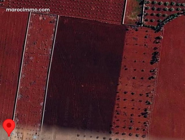3-Hectare Agricultural Land for Sale on Marrakech Dam Road — 3