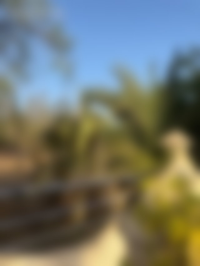 فيلا فاخرة على هكتار من النخيل بحي النخيل مراكش — 2