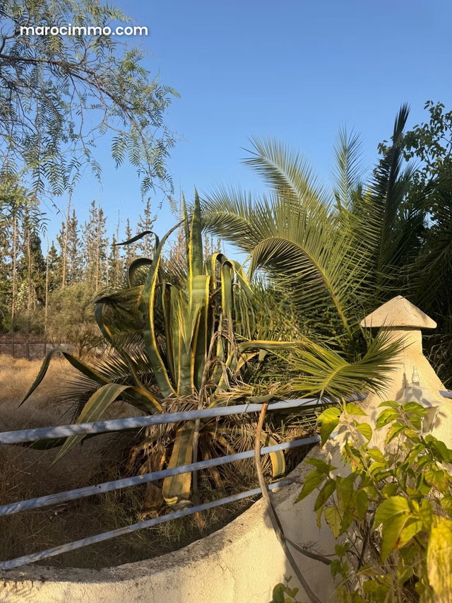 Opportunité à saisir Villa, rénovée au cœur de la Palmeraie — 2