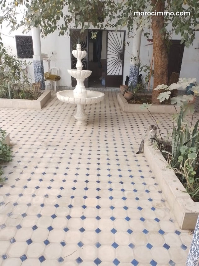 Riad à rénover Bab Doukkala 14 ch, 288 m² — 5