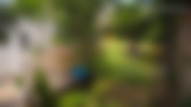 فيلا رحبة للكراء بحي كاليفورنيا في طنجة — 2