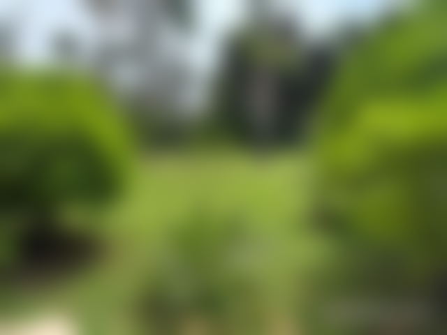 Villa 650 m² avec piscine et jardin, Souissi, Rabat — Rabat