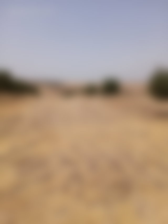 مزرعة محفظة للبيع على أبواب صفرو — 3